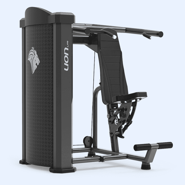 Desenvolvimento de Ombros LFR