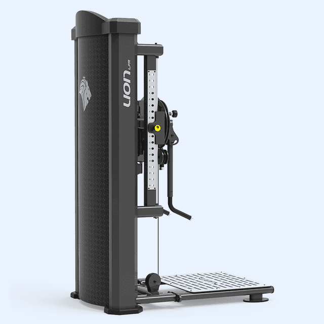 Elevação Lateral em Pé LFR