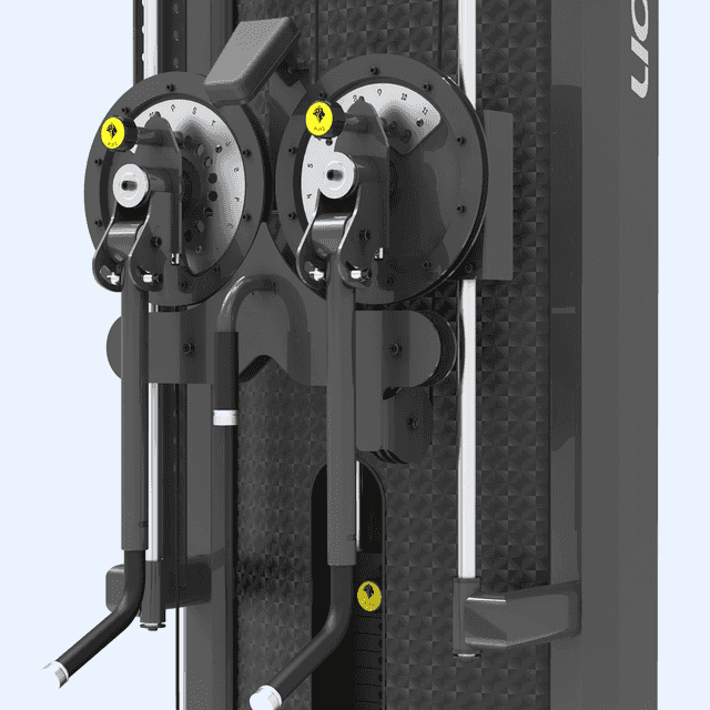 Elevação Lateral em Pé LFR