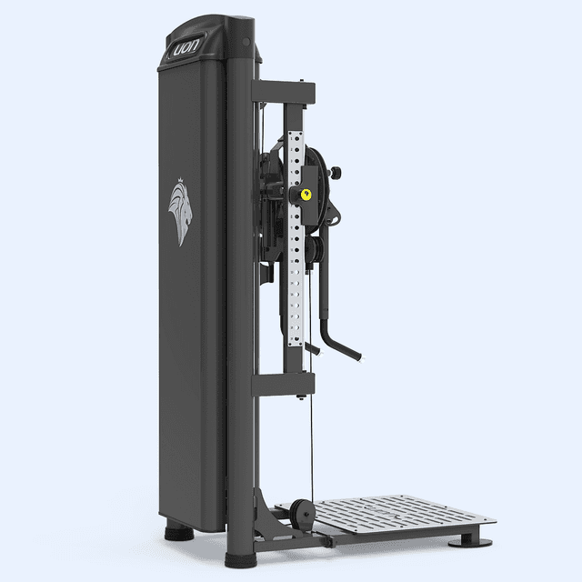 Elevação Lateral em Pé PRÓ