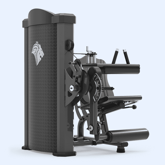 extensor-flexor-sentado-conjugado-lfr-02 Extensor/Flexor Conjugado LFR